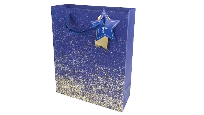 BOLSA REGALO GRANDE ESCRCHA 2.5